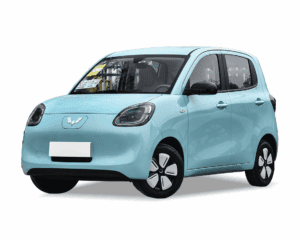 Mini EV