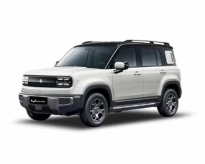 Wuling Baojun Yep plus