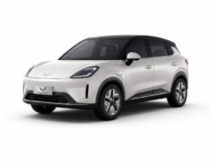 Wuling Bingo S Premium Version
